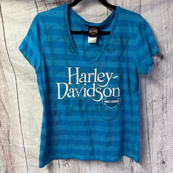 Vintage Harley-Davidson Blue Striped V-Neck Short sleeve T-Shirt Large - Picture 1 of 7